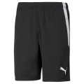 Puma Sporthose teamLIGA Shorts kurz schwarz Herren